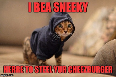 Hoody Cat | I BEA SNEEKY; HERRE TO STEEL YUR CHEEZBURGER | image tagged in memes,hoody cat | made w/ Imgflip meme maker