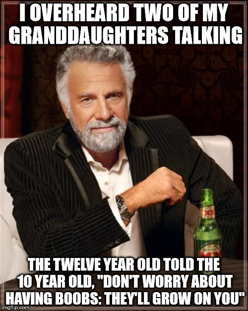 The Most Interesting Man In The World Meme | I OVERHEARD TWO OF MY GRANDDAUGHTERS TALKING THE TWELVE YEAR OLD TOLD THE 10 YEAR OLD, "DON'T WORRY ABOUT HAVING BOOBS: THEY'LL GROW ON YOU" | image tagged in memes,the most interesting man in the world | made w/ Imgflip meme maker