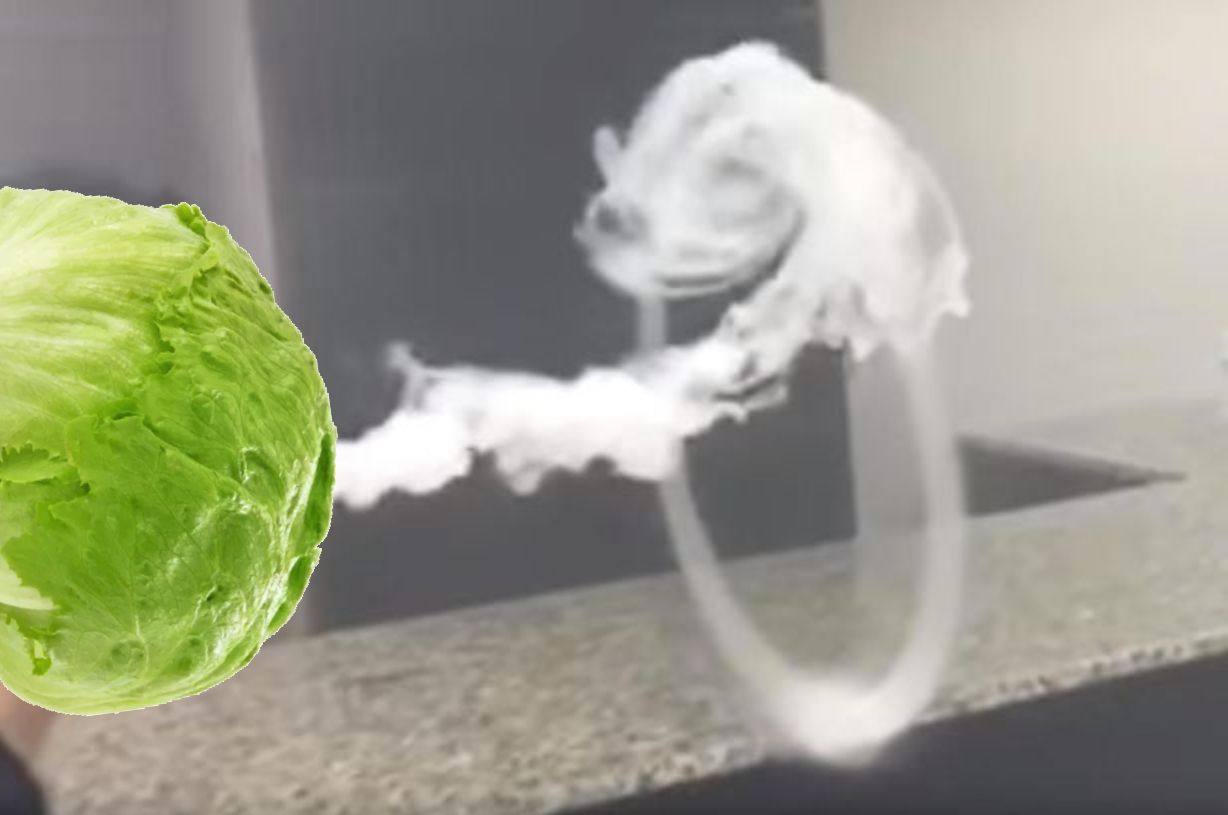 lettuce vape Blank Meme Template