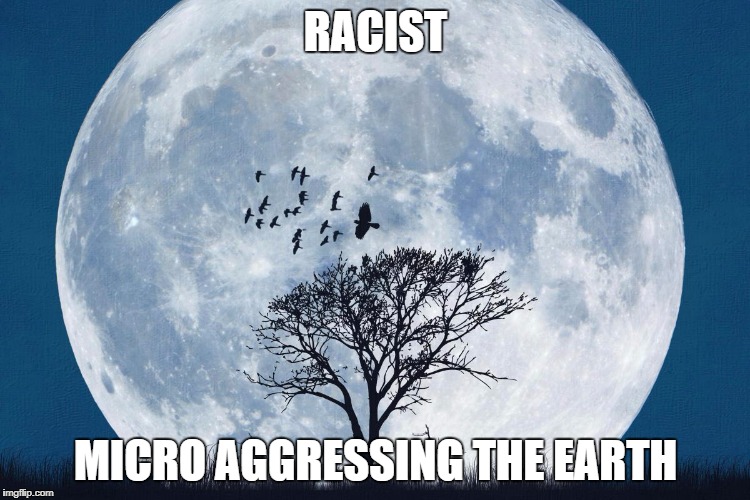 RACIST; MICRO AGGRESSING THE EARTH | image tagged in moon | made w/ Imgflip meme maker