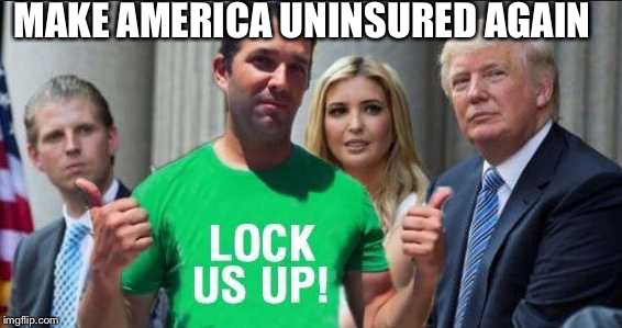 If you don't think there is something questionable going on you are DILLUSIONAL | MAKE AMERICA UNINSURED AGAIN | image tagged in trump,memes,funny,truth,animals,terrorist | made w/ Imgflip meme maker