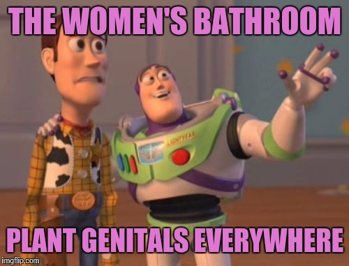 X, X Everywhere Meme | THE WOMEN'S BATHROOM PLANT GENITALS EVERYWHERE | image tagged in memes,x x everywhere | made w/ Imgflip meme maker