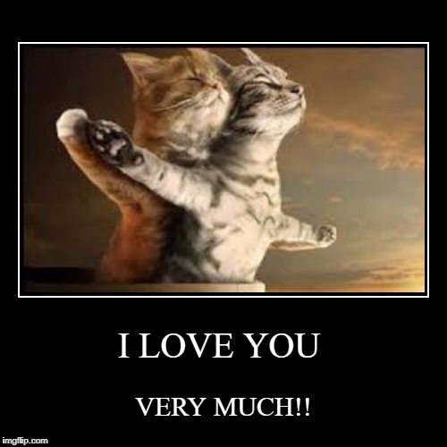 image tagged in funny,demotivationals | made w/ Imgflip demotivational maker