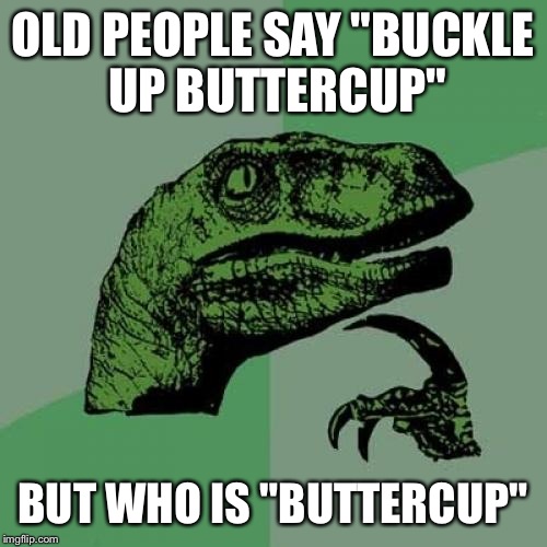 Philosoraptor Meme | OLD PEOPLE SAY "BUCKLE UP BUTTERCUP"; BUT WHO IS "BUTTERCUP" | image tagged in memes,philosoraptor | made w/ Imgflip meme maker