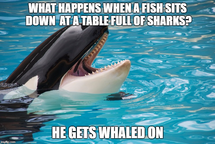 Whaled it | WHAT HAPPENS WHEN A FISH SITS DOWN  AT A TABLE FULL OF SHARKS? HE GETS WHALED ON | image tagged in puns badfish | made w/ Imgflip meme maker