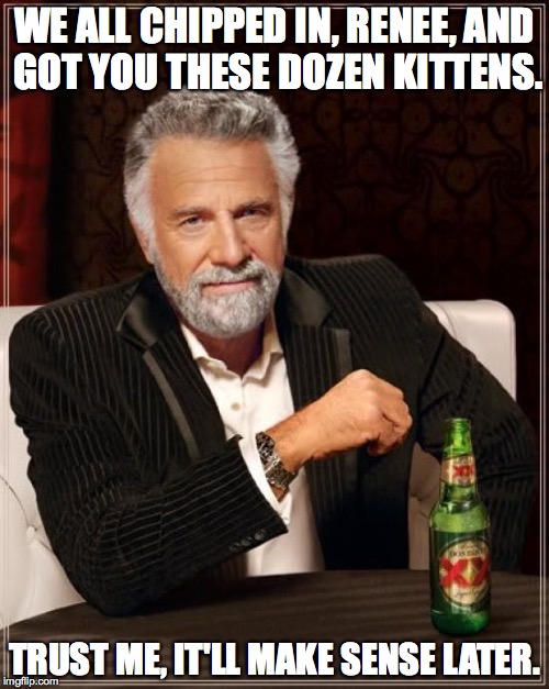 professional development | WE ALL CHIPPED IN, RENEE, AND GOT YOU THESE DOZEN KITTENS. TRUST ME, IT'LL MAKE SENSE LATER. | image tagged in memes,the most interesting man in the world | made w/ Imgflip meme maker
