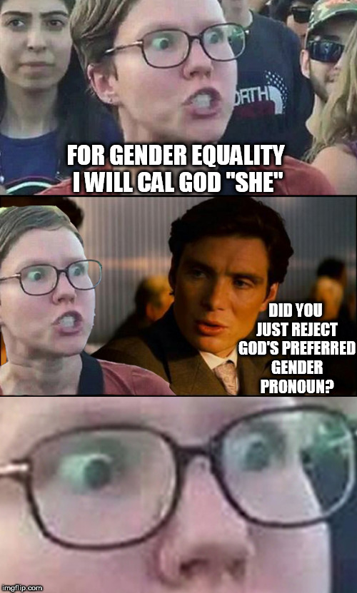 Liberal Logic 101 |  FOR GENDER EQUALITY I WILL CAL GOD "SHE"; DID YOU JUST REJECT GOD'S PREFERRED GENDER PRONOUN? | image tagged in inception liberal | made w/ Imgflip meme maker
