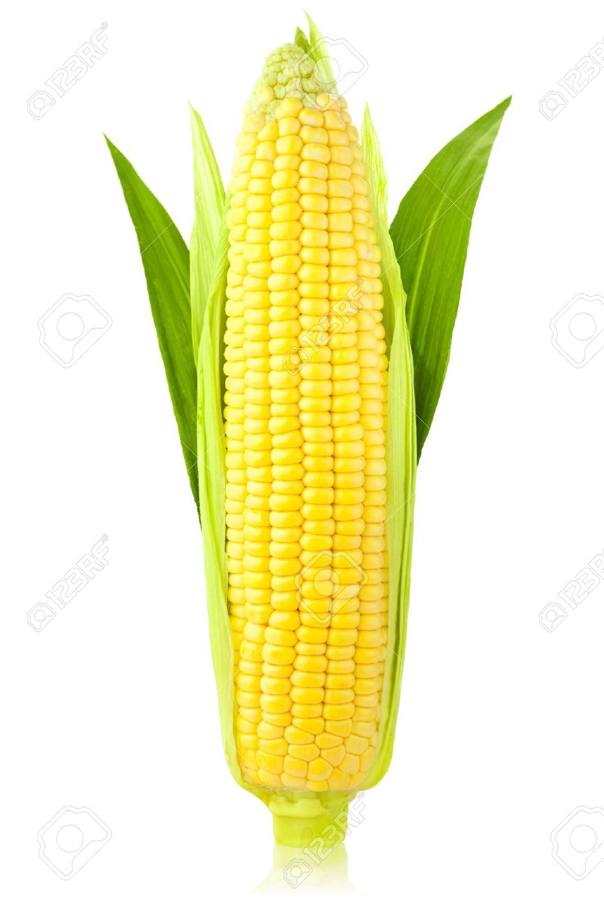 High Quality Memes, Corn Blank Meme Template