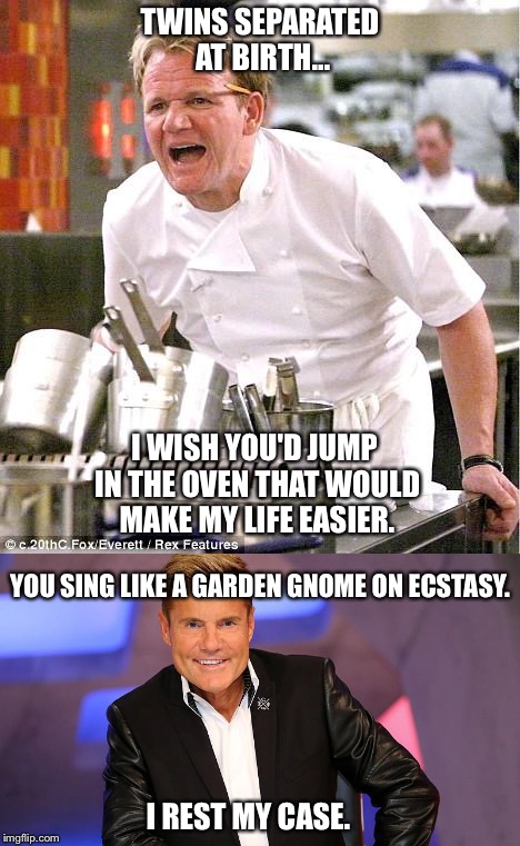 Twins Separated at birth | TWINS SEPARATED AT BIRTH... I WISH YOU'D JUMP IN THE OVEN THAT WOULD MAKE MY LIFE EASIER. YOU SING LIKE A GARDEN GNOME ON ECSTASY. I REST MY CASE. | image tagged in chef gordon ramsay,memes,dieter bohlen,twins,insults,funny memes | made w/ Imgflip meme maker