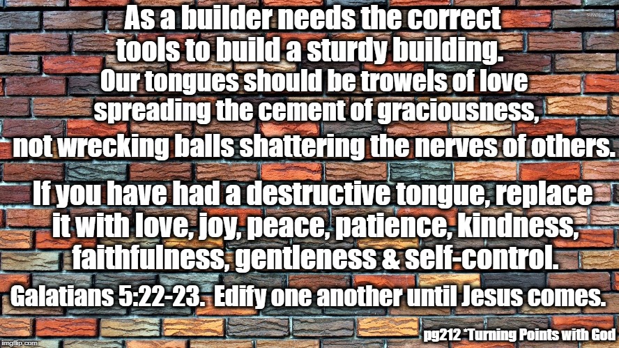Build One-Another Up | As a builder needs the correct tools to build a sturdy building. Our tongues should be trowels of love spreading the cement of graciousness, not wrecking balls shattering the nerves of others. If you have had a destructive tongue, replace it with love, joy, peace, patience, kindness, faithfulness, gentleness & self-control. Galatians 5:22-23.  Edify one another until Jesus comes. pg212 *Turning Points with God | image tagged in tamiejp | made w/ Imgflip meme maker