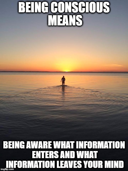 Peace on Water | BEING CONSCIOUS MEANS; BEING AWARE WHAT INFORMATION ENTERS AND WHAT INFORMATION LEAVES YOUR MIND | image tagged in peace on water | made w/ Imgflip meme maker