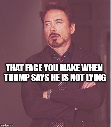 Face You Make Robert Downey Jr Meme | THAT FACE YOU MAKE WHEN TRUMP SAYS HE IS NOT LYING | image tagged in memes,face you make robert downey jr | made w/ Imgflip meme maker