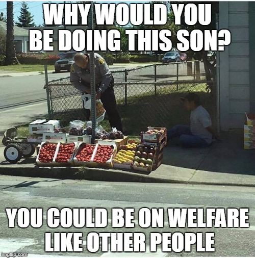Fruit vendor | WHY WOULD YOU BE DOING THIS SON? YOU COULD BE ON WELFARE LIKE OTHER PEOPLE | image tagged in fruit vendor | made w/ Imgflip meme maker