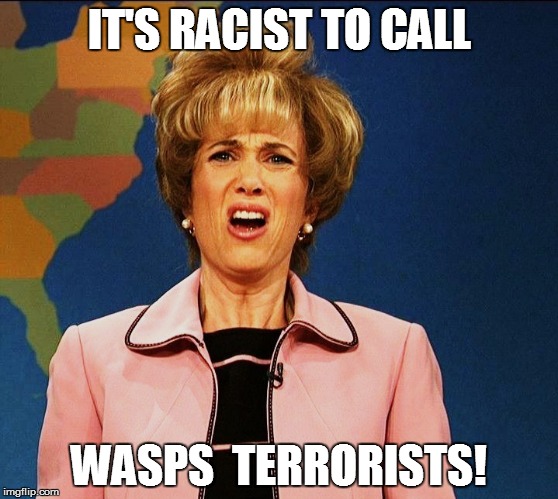 IT'S RACIST TO CALL WASPS  TERRORISTS! | made w/ Imgflip meme maker