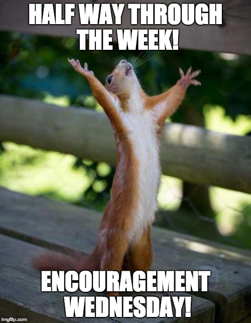 Happy Squirrel | HALF WAY THROUGH THE WEEK! ENCOURAGEMENT WEDNESDAY! | image tagged in happy squirrel | made w/ Imgflip meme maker