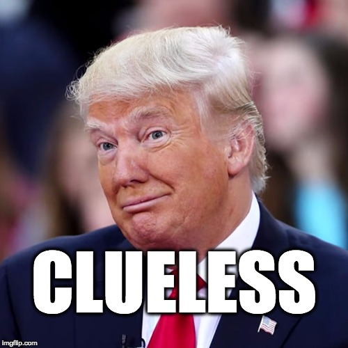 The clueless Republican president Trump.  | CLUELESS | image tagged in donald trump,trump,maga,usa,disaster | made w/ Imgflip meme maker