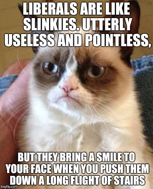 Stolen memes week, an AndrewFinlayson event | LIBERALS ARE LIKE SLINKIES. UTTERLY USELESS AND POINTLESS, BUT THEY BRING A SMILE TO YOUR FACE WHEN YOU PUSH THEM DOWN A LONG FLIGHT OF STAIRS | image tagged in memes,grumpy cat,stolen memes week,stolen memes | made w/ Imgflip meme maker