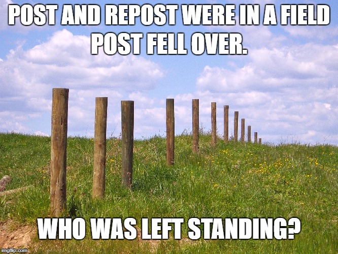 POST AND REPOST WERE IN A FIELD POST FELL OVER. WHO WAS LEFT STANDING? | made w/ Imgflip meme maker