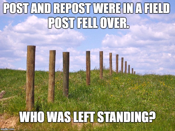 POST AND REPOST WERE IN A FIELD WHO WAS LEFT STANDING? POST FELL OVER. | made w/ Imgflip meme maker