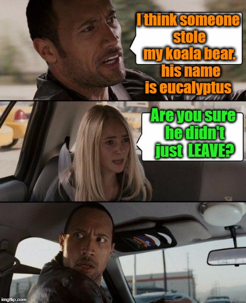 Like most of my memes,  I thought this up myself,  so feel free to groan!  lol | I think someone stole my koala bear.  his name is eucalyptus; Are you sure he didn't just  LEAVE? | image tagged in memes,the rock driving | made w/ Imgflip meme maker