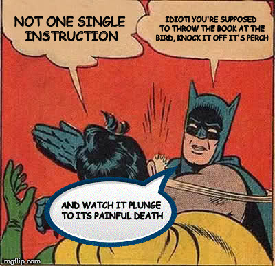 Batman Slapping Robin Meme | NOT ONE SINGLE INSTRUCTION IDIOT! YOU'RE SUPPOSED TO THROW THE BOOK AT THE BIRD, KNOCK IT OFF IT'S PERCH AND WATCH IT PLUNGE TO ITS PAINFUL  | image tagged in memes,batman slapping robin | made w/ Imgflip meme maker