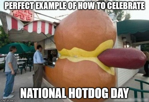 PERFECT EXAMPLE OF HOW TO CELEBRATE; NATIONAL HOTDOG DAY | image tagged in hotdog | made w/ Imgflip meme maker