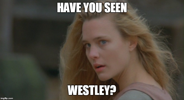 HAVE YOU SEEN WESTLEY? | made w/ Imgflip meme maker