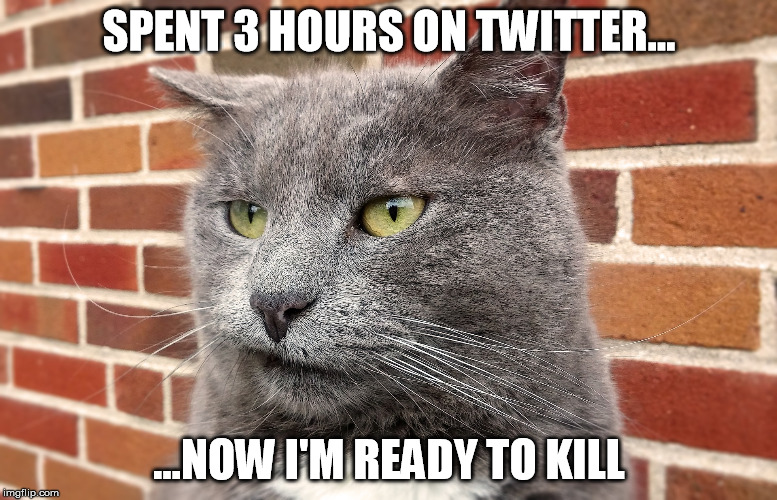 SPENT 3 HOURS ON TWITTER... ...NOW I'M READY TO KILL | made w/ Imgflip meme maker