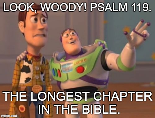 X, X Everywhere Meme | LOOK, WOODY! PSALM 119. THE LONGEST CHAPTER IN THE BIBLE. | image tagged in memes,x x everywhere | made w/ Imgflip meme maker