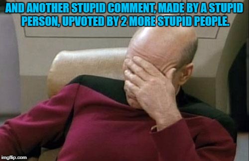 Captain Picard Facepalm Meme | AND ANOTHER STUPID COMMENT, MADE BY A STUPID PERSON, UPVOTED BY 2 MORE STUPID PEOPLE. | image tagged in memes,captain picard facepalm | made w/ Imgflip meme maker