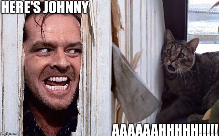 HERE'S JOHNNY; AAAAAAHHHHH!!!!! | image tagged in memes,here's johnny,scared cat | made w/ Imgflip meme maker