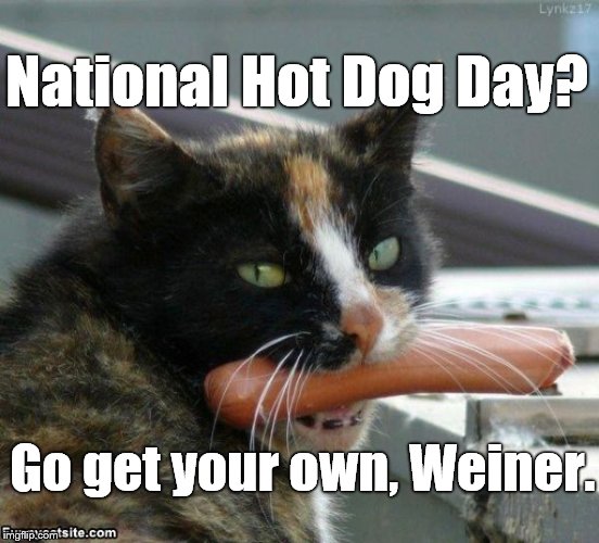 National Hot Dog Day, 19 JULY. Like we need an excuse. The hot dog is King! Long live the King! | National Hot Dog Day? Go get your own, Weiner. | image tagged in hot dog cat,hot dog,national hot dog day,long live the king | made w/ Imgflip meme maker