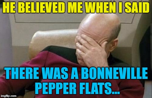And ketchup flats, mustard flats... :) | HE BELIEVED ME WHEN I SAID; THERE WAS A BONNEVILLE PEPPER FLATS... | image tagged in memes,captain picard facepalm,bonneville salt flats,salt flats | made w/ Imgflip meme maker