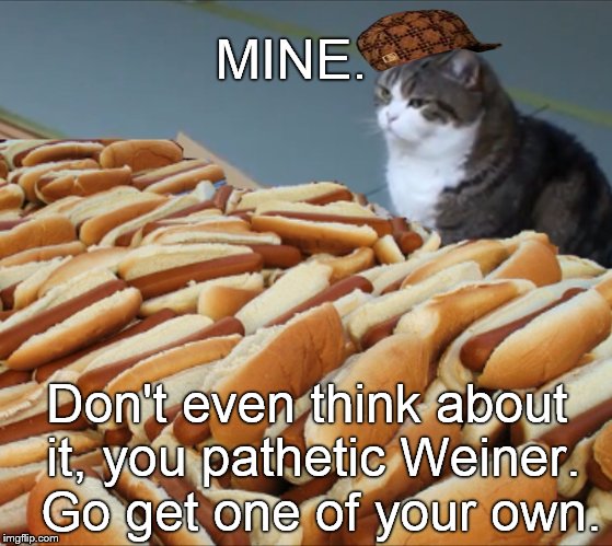 National Hot Dog Day, 19 July. | MINE. Don't even think about it, you pathetic Weiner.  Go get one of your own. | image tagged in cat hot dogs,national hot dog day,mine,go get your own,hot dog,long live the king | made w/ Imgflip meme maker