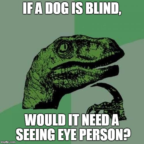 Philosoraptor Meme | IF A DOG IS BLIND, WOULD IT NEED A SEEING EYE PERSON? | image tagged in memes,philosoraptor | made w/ Imgflip meme maker