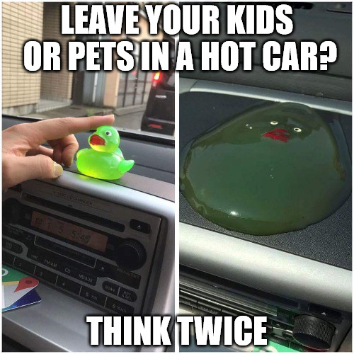 This is what can happen when you leave loved ones in a hot car | LEAVE YOUR KIDS OR PETS IN A HOT CAR? THINK TWICE | image tagged in heat,memes,psa | made w/ Imgflip meme maker