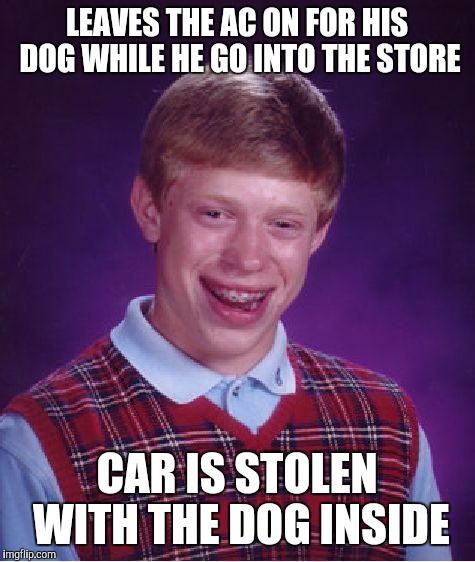 Bad Luck Brian Meme | LEAVES THE AC ON FOR HIS DOG WHILE HE GO INTO THE STORE CAR IS STOLEN WITH THE DOG INSIDE | image tagged in memes,bad luck brian | made w/ Imgflip meme maker