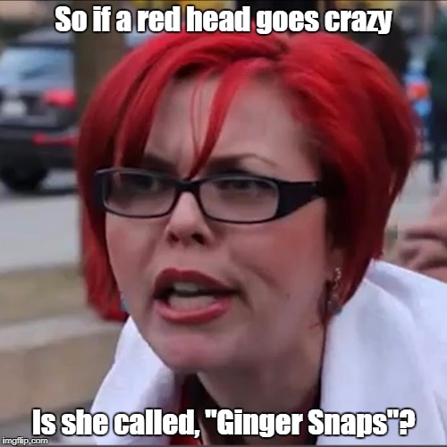 Red Head Potty Mouth 2 | So if a red head goes crazy; Is she called, "Ginger Snaps"? | image tagged in red head potty mouth 2 | made w/ Imgflip meme maker