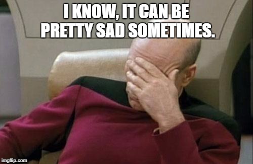 Captain Picard Facepalm Meme | I KNOW, IT CAN BE PRETTY SAD SOMETIMES. | image tagged in memes,captain picard facepalm | made w/ Imgflip meme maker