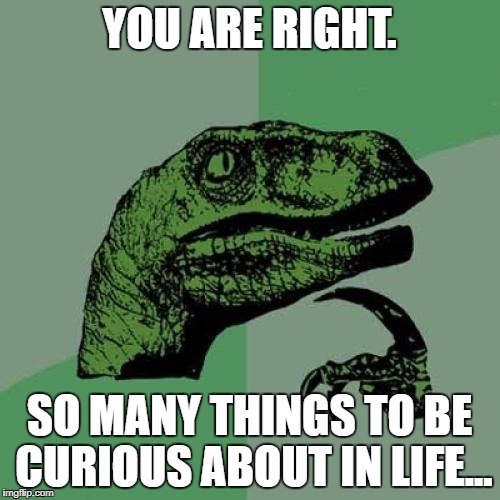 Philosoraptor Meme | YOU ARE RIGHT. SO MANY THINGS TO BE CURIOUS ABOUT IN LIFE... | image tagged in memes,philosoraptor | made w/ Imgflip meme maker