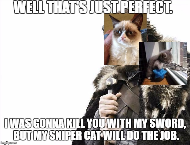 Brace Yourselves X is Coming Meme | WELL THAT'S JUST PERFECT. I WAS GONNA KILL YOU WITH MY SWORD, BUT MY SNIPER CAT WILL DO THE JOB. | image tagged in memes,brace yourselves x is coming | made w/ Imgflip meme maker