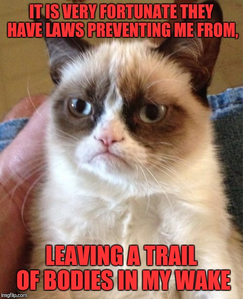 It's been a rough couple of weeks, what can I say?... | IT IS VERY FORTUNATE THEY HAVE LAWS PREVENTING ME FROM, LEAVING A TRAIL OF BODIES IN MY WAKE | image tagged in memes,grumpy cat,sewmyeyesshut,funny memes | made w/ Imgflip meme maker