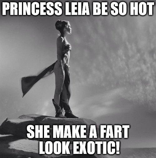 She really let one rip, there | PRINCESS LEIA BE SO HOT; SHE MAKE A FART LOOK EXOTIC! | image tagged in star wars,princess leia,fart joke,exotic | made w/ Imgflip meme maker