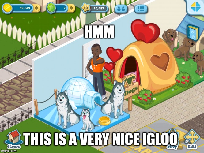 Nice igloo | HMM; THIS IS A VERY NICE IGLOO | image tagged in doggo,original meme | made w/ Imgflip meme maker