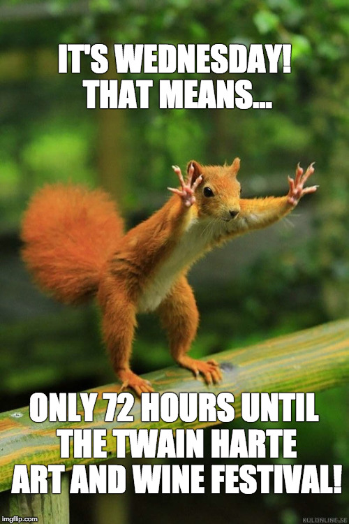 Wait a Minute Squirrel | IT'S WEDNESDAY! THAT MEANS... ONLY 72 HOURS UNTIL THE TWAIN HARTE ART AND WINE FESTIVAL! | image tagged in wait a minute squirrel | made w/ Imgflip meme maker