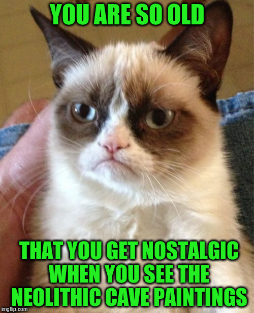 Grumpy Cat | YOU ARE SO OLD; THAT YOU GET NOSTALGIC WHEN YOU SEE THE NEOLITHIC CAVE PAINTINGS | image tagged in memes,grumpy cat | made w/ Imgflip meme maker