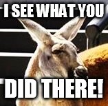 Kangaroos sees what you did! | I SEE WHAT YOU; DID THERE! | image tagged in kangaroo | made w/ Imgflip meme maker