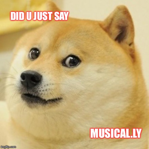 Doge Meme | DID U JUST SAY; MUSICAL.LY | image tagged in memes,doge | made w/ Imgflip meme maker