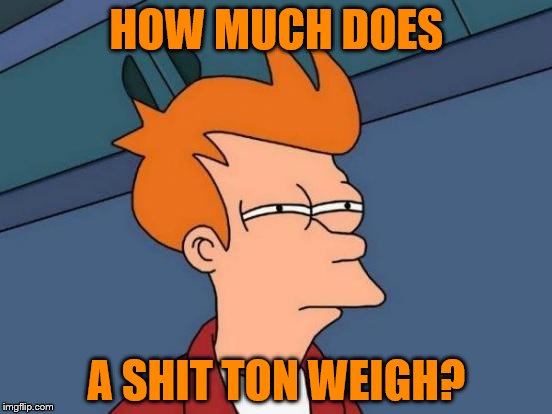 Futurama Fry Meme | HOW MUCH DOES; A SHIT TON WEIGH? | image tagged in memes,futurama fry | made w/ Imgflip meme maker