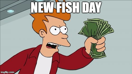 Shut Up And Take My Money Fry Meme | NEW FISH DAY | image tagged in memes,shut up and take my money fry | made w/ Imgflip meme maker
